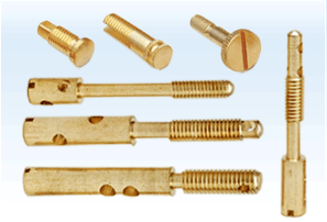 Energy Meter Screws