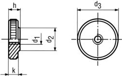 Flat Knurled Nuts