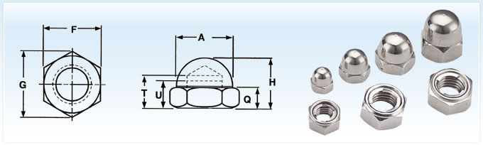 Low Crown Cap Nuts