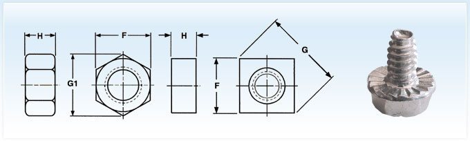 Machine Screw Hex & Square Nut