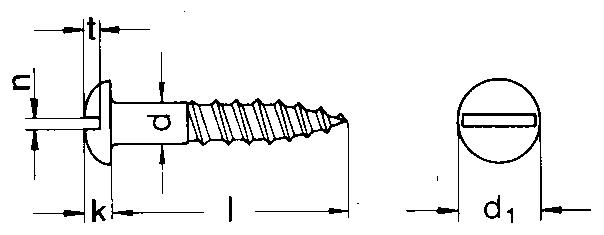 Slotted Screws